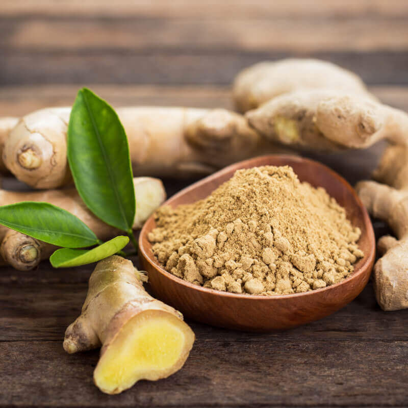 GINGER