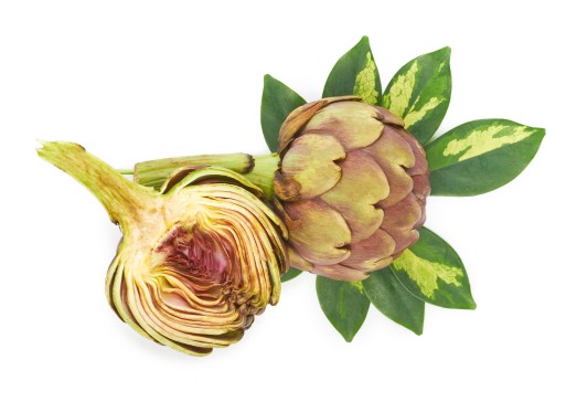 ARTICHOKE EXTRACT