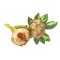 ingredient icon