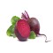 ingredient icon