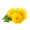 ingredient icon