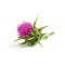 ingredient icon