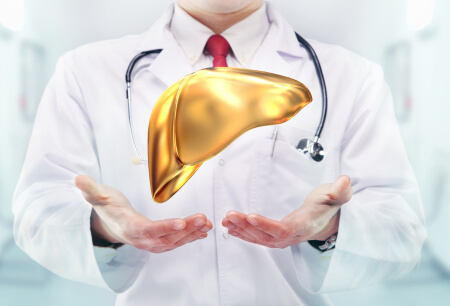a healthy liver