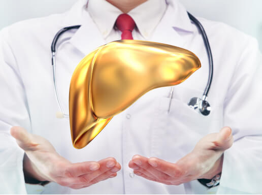 a healthy liver